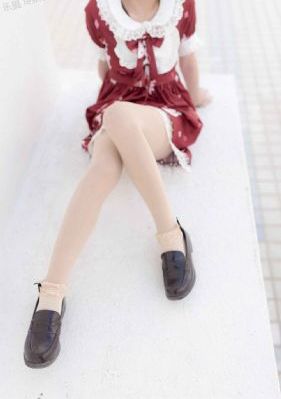 新红楼梦