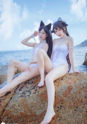 小毛驴影视在线观看