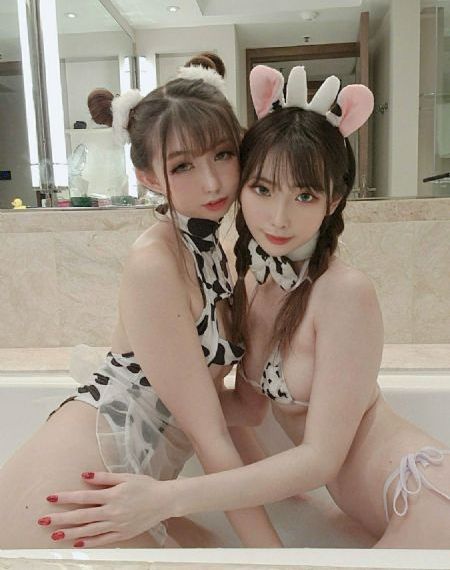 高级家教课程